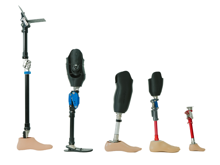 Hasdrubal Prosthetic Leg